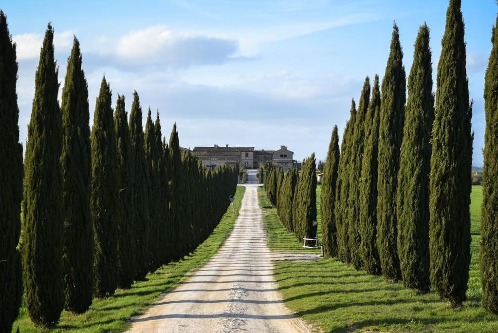 Cozy Home In Countryside Asciano Siena -Renovated! エクステリア 写真